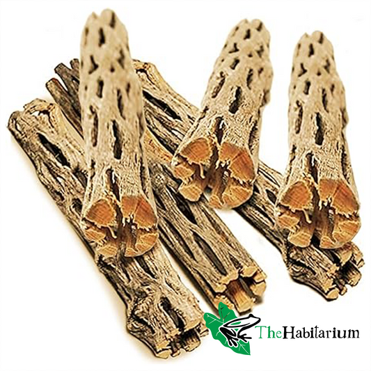 Cholla Wood