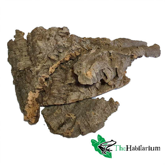 Cork Bark