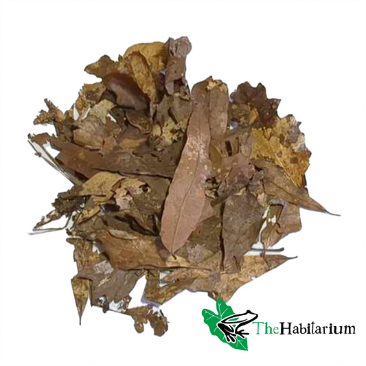 Leaf Litter, Hardwood